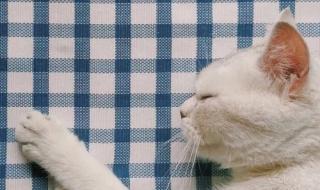 这世界有这么多的人