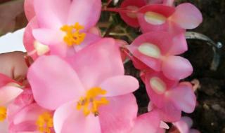 k歌之王伴奏 k歌之王伴奏