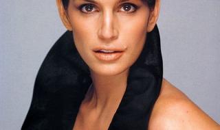 辛迪克劳馥 辛迪克劳馥