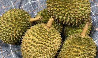 金枕和干尧哪一个好吃 金枕和干尧哪一个好吃