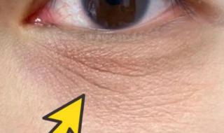 哪种抗皱护肤品好用