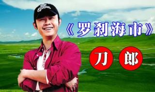 罗刹海市播放量实时