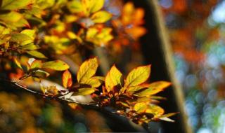 炫舞之舞动奇迹 炫舞之舞动奇迹