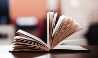 nba科比最后一场比赛